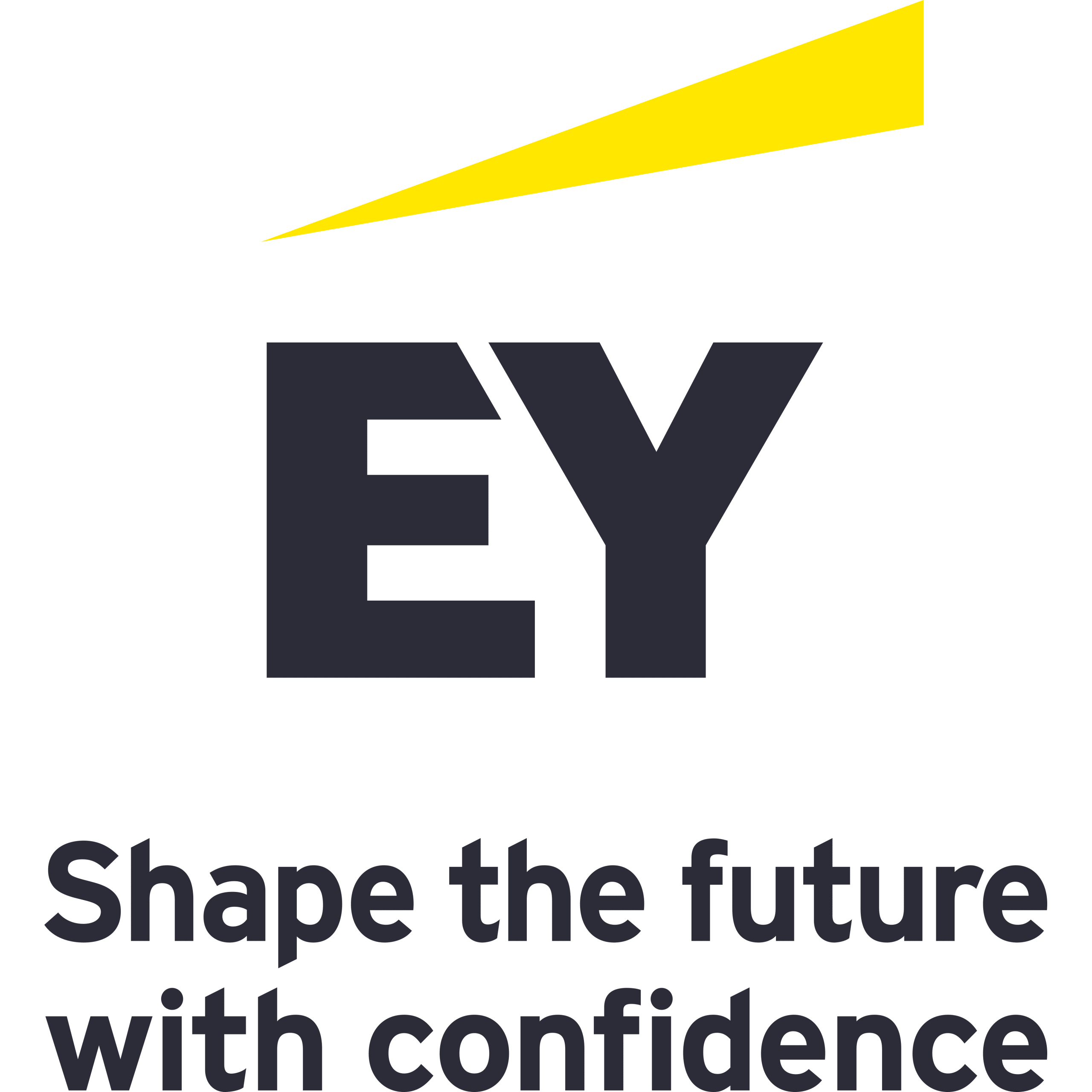 Ernst & Young Malta Limited